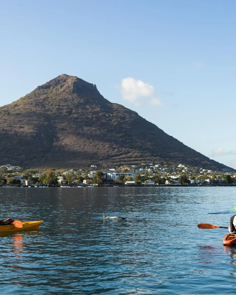 KAYAKING WITH DOLPHINS