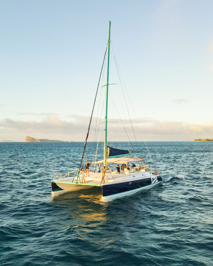South-West Sunset Cruise (Spinner Dolphin)