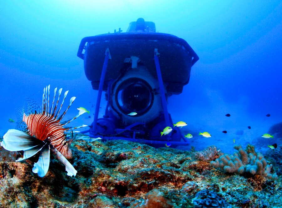 Submarine Excursion