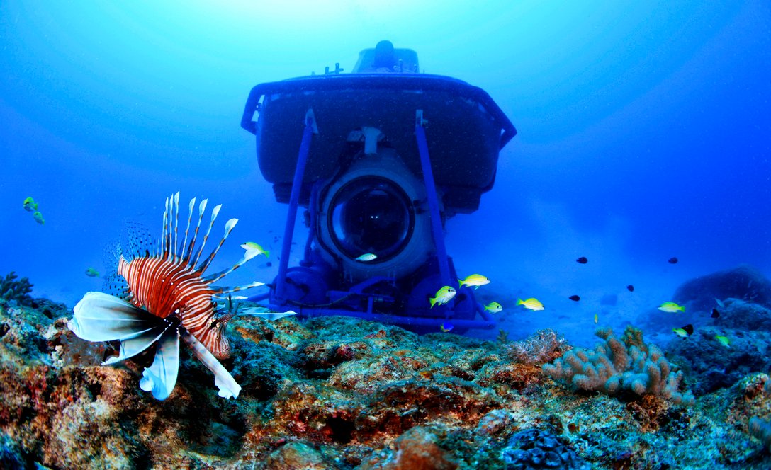Submarine Excursion