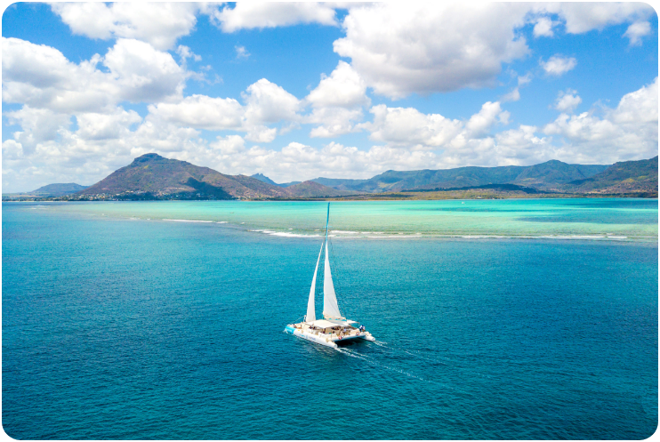 Private Catamaran — North-East Mangroves (Full Day)