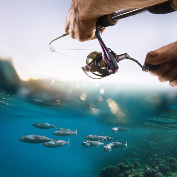 Jigging & Light-Tackle Fishing — Private Charter