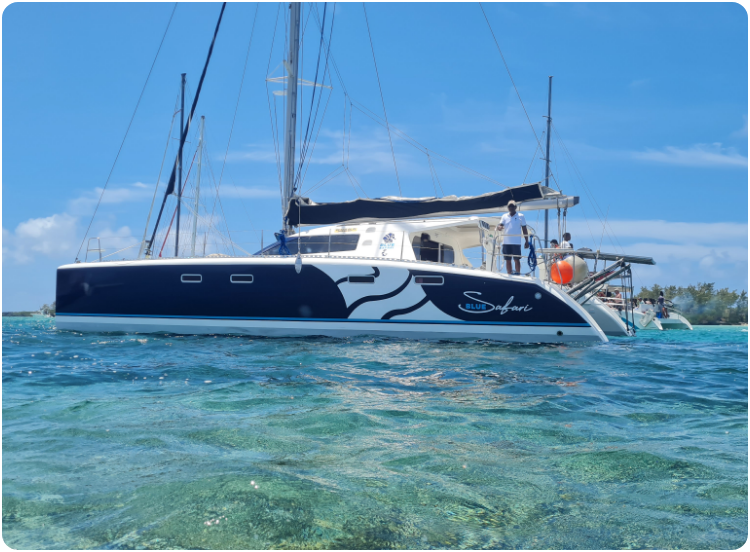Private Catamaran — South-East Mahébourg (Full Day)